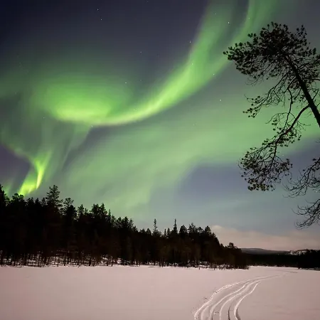 In The Middle Of Nature * Kemijarvi