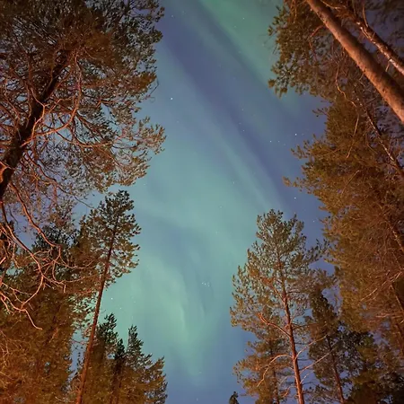 In The Middle Of Nature Apartment Kemijärvi