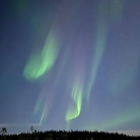In The Middle Of Nature * Kemijärvi