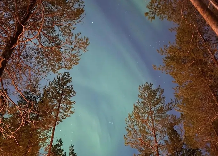 In The Middle Of Nature 公寓 Kemijärvi